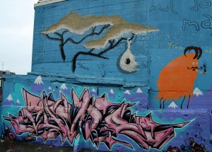 DSC_5905